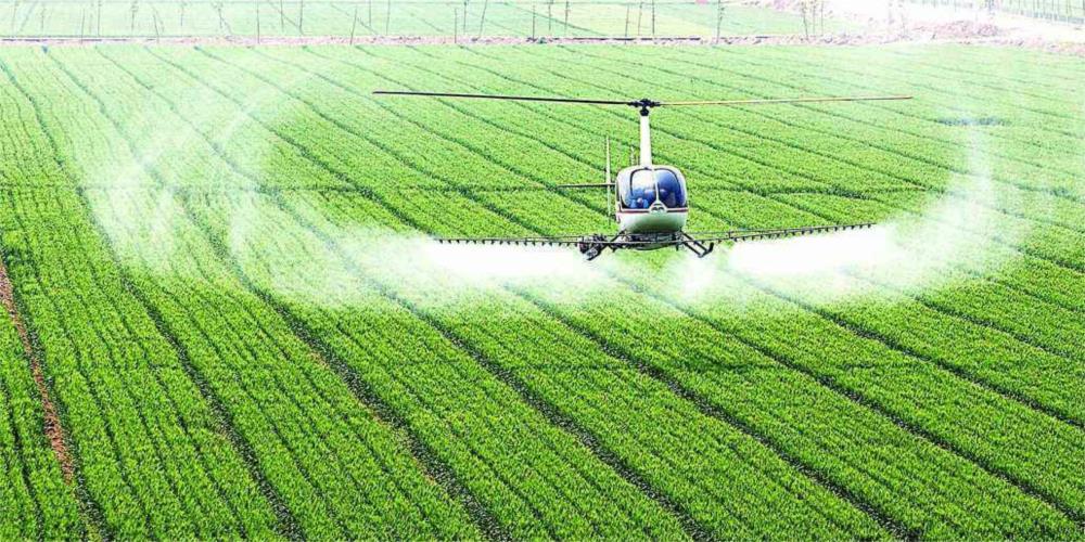 多重政策促進轉(zhuǎn)型 中國明確現(xiàn)代農(nóng)業(yè)“著力點”