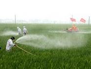 7種新農(nóng)藥獲批登記 突出綠色自主創(chuàng)新