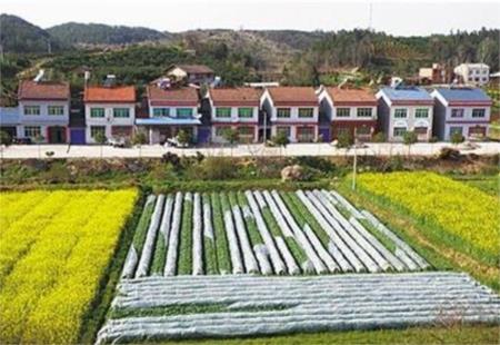 全國超七成村完成農村集體產權制度改革