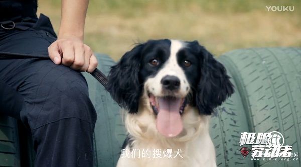 關(guān)注普通勞動(dòng)者、感受社會(huì)正能量 優(yōu)酷《極限勞動(dòng)者》紀(jì)錄片獲官媒點(diǎn)贊