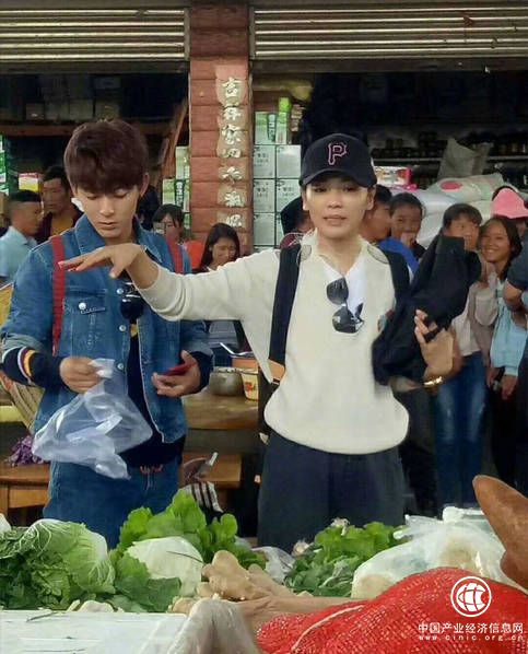 家庭主婦既視感！劉濤素顏和陳翔逛菜市場買菜