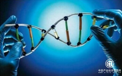 黑龍江強(qiáng)鏈增效推動生物產(chǎn)業(yè)創(chuàng)新融合