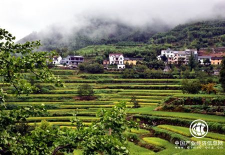 生態(tài)文明建設(shè)“指示器”“風(fēng)向標(biāo)”更明確了
