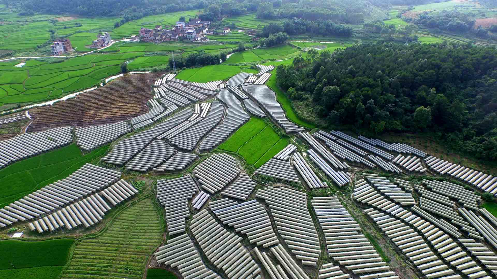 深度貧困地區(qū)咋脫貧？國(guó)務(wù)院扶貧辦主任這樣答