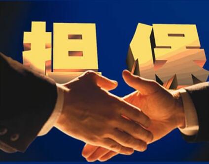 我國將設立國家融資擔?；?首期募資不低于600億元