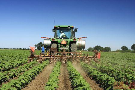 夯實(shí)“壓艙石”，加快農(nóng)業(yè)農(nóng)村現(xiàn)代化