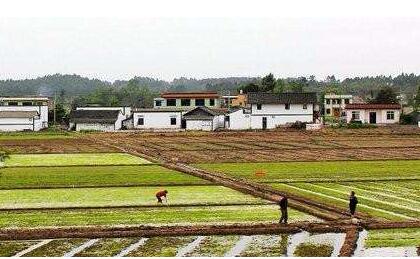 農(nóng)村承包地二輪到期延包 整省試點全面開展