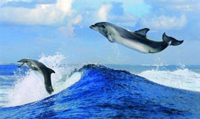 國(guó)產(chǎn)紀(jì)錄片播出增新規(guī)，衛(wèi)視黃金檔全年不得低于7小時(shí)