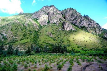 加大AI技術(shù)研發(fā)支持 生態(tài)環(huán)境治理邁入智能化新階段