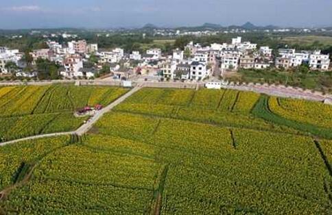 專家學(xué)者解讀《鄉(xiāng)村振興戰(zhàn)略規(guī)劃（2018—2022年）》要點(diǎn)