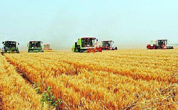 大力推動(dòng)河南糧食產(chǎn)業(yè)高質(zhì)量發(fā)展