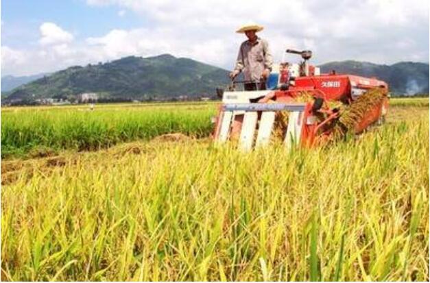 “雙增長”背后有六大亮點——一季度農業(yè)農村經濟形勢解析
