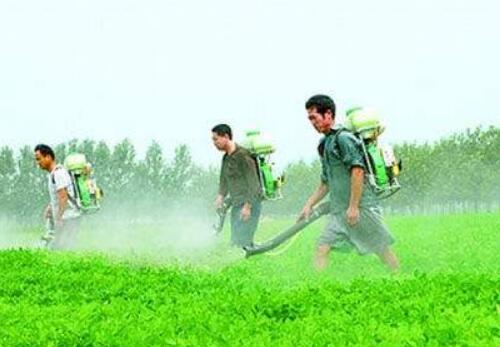 中非農(nóng)業(yè)合作開啟新征程 中國農(nóng)化業(yè)迎來“非洲時(shí)刻”