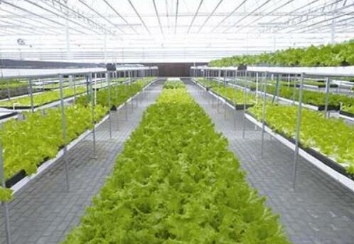 大力發(fā)展智慧農(nóng)業(yè) 安徽農(nóng)業(yè)科技進(jìn)步貢獻(xiàn)率高出全國(guó)平均水平