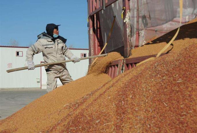 農發(fā)行全國首筆雜糧收購貸款投放