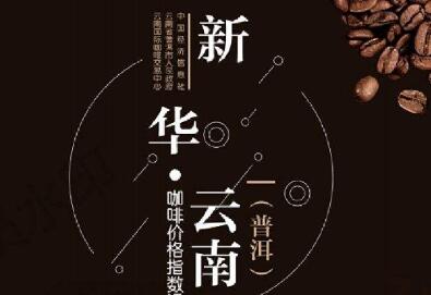 新華·云南（普洱）咖啡價(jià)格指數(shù)在京發(fā)布