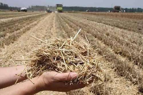 河南：打造“五個一”秸稈利用新格局