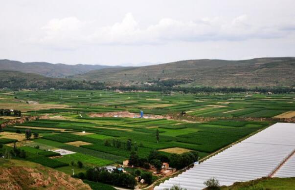 黑龍江：3年培育1820名“頭雁” 鄉(xiāng)村振興帶頭飛