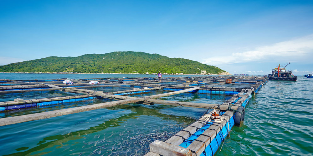 福建集中發(fā)布一批海洋經(jīng)濟綠色創(chuàng)新發(fā)展政策