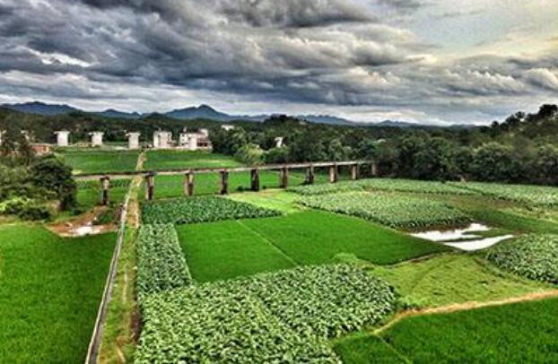 如何破除人才土地資金流動(dòng)壁壘？從《政府工作報(bào)告》看鄉(xiāng)村全面振興→