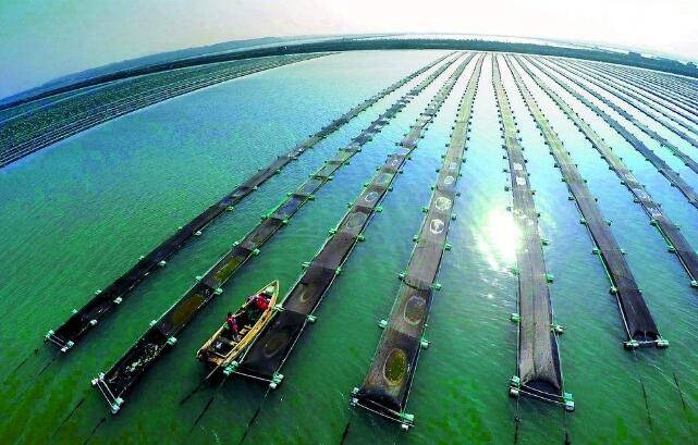 前三季度海洋生產(chǎn)總值達(dá)七點(diǎn)九萬(wàn)億元 同比增長(zhǎng)百分之五點(diǎn)六