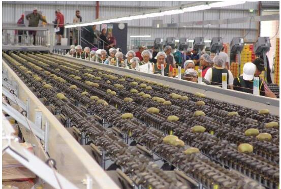 從“豫商課堂”到援疆投資 河南這樣培育民營經(jīng)濟(jì)“雙健康”生態(tài)