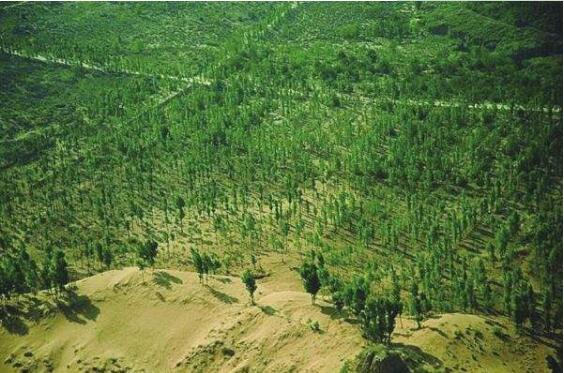 國(guó)家林草局：“三北”工程攻堅(jiān)戰(zhàn)完成建設(shè)任務(wù)1.64億畝