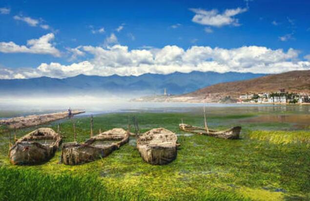 央地生態(tài)保護(hù)補(bǔ)償機(jī)制加速鋪開 仍有多個難點待解