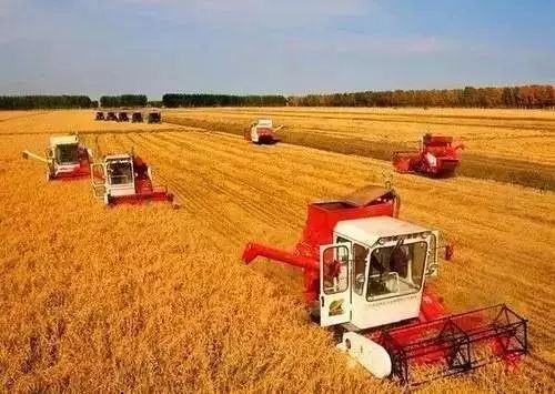 中央一號文件部署“三農(nóng)”領(lǐng)域硬任務