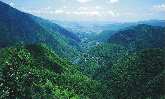 65.85%！福建森林覆蓋率連續(xù)47年保持全國第一