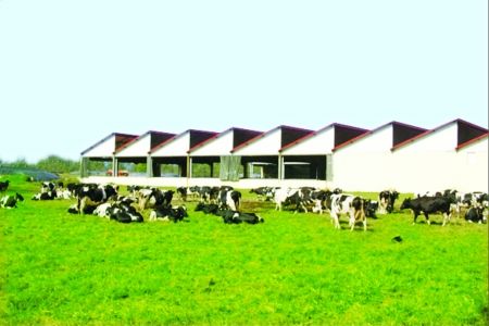 奶業(yè)經(jīng)歷原奶下行周期陣痛 控貨控價(jià)、控貨穩(wěn)價(jià)成企業(yè)發(fā)展重心