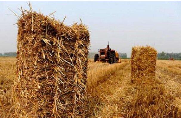 黑龍江齊齊哈爾構(gòu)建全方位、多層次秸稈綜合利用體系