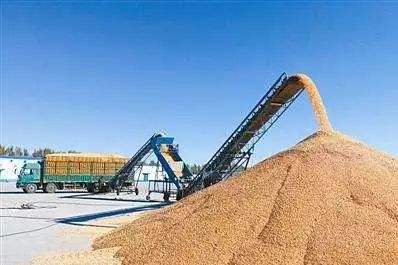 840.7億斤！內(nèi)蒙古糧食總產(chǎn)躍居全國(guó)第五實(shí)現(xiàn)“二十二連豐”