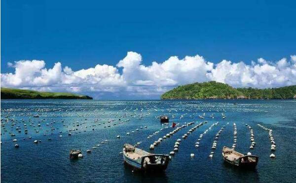 廣東海洋生產(chǎn)總值率先突破2萬億元