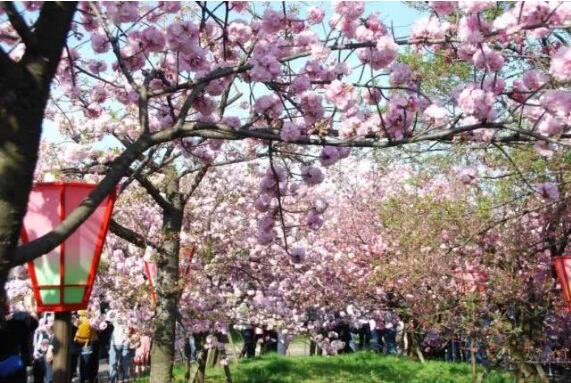 游中國(guó)，旺季來(lái)了