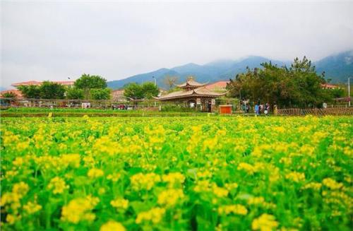 美麗中國建設框架基本形成 生態(tài)環(huán)境部部署七大任務