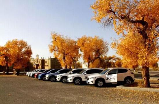 2025年新疆接待游客量創(chuàng)歷史新高