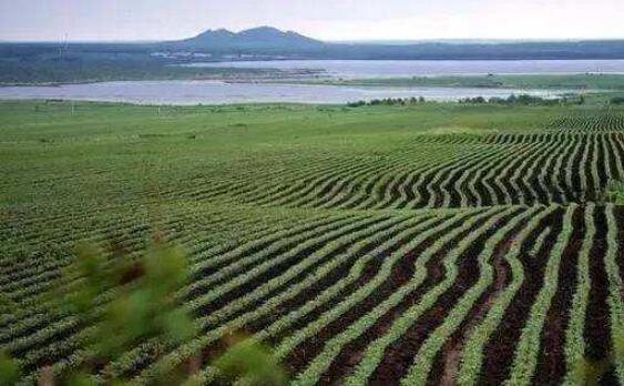 助推鄉(xiāng)村振興！第二批全域土地綜合整治試點典型案例發(fā)布