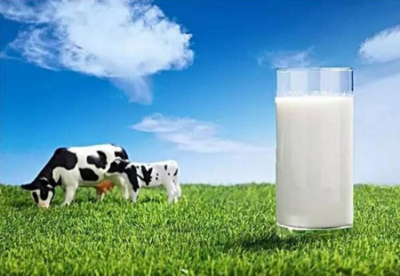 聚焦優(yōu)勢特色 聚力協(xié)同發(fā)展  內(nèi)蒙古奶業(yè)繪就千億級產(chǎn)業(yè)新圖景