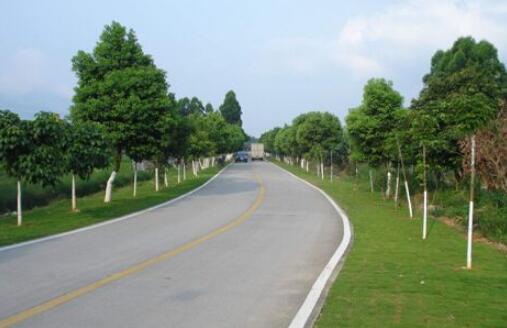 “十四五”農村公路規(guī)劃主要目標任務已提前完成