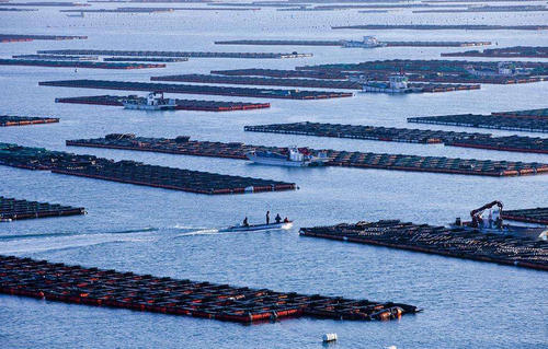 最高2000萬！福建出臺最新政策補助這些領域