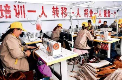 以開發(fā)式幫扶增強內(nèi)生動力