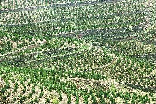 加大資金投入，創(chuàng)新治理模式 內(nèi)蒙古水土流失面積強(qiáng)度雙下降