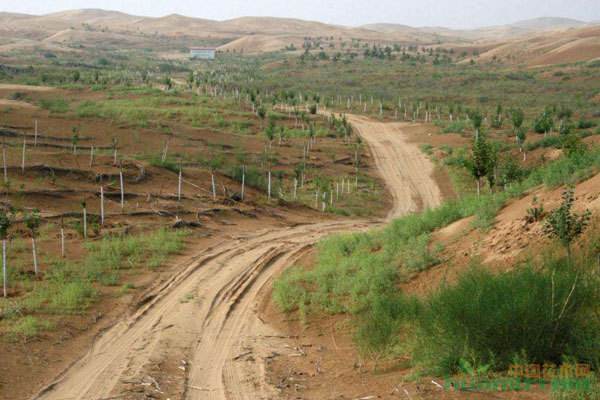 中國荒漠化治理獲國際贊譽