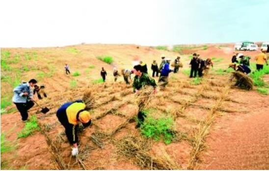 內(nèi)蒙古阿拉善盟累計治沙超1億畝