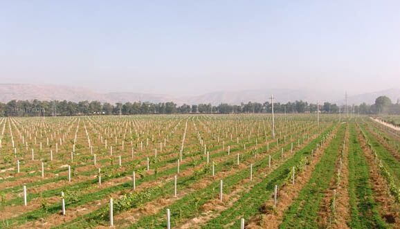 中共中央辦公廳 國務(wù)院辦公廳關(guān)于做好第二輪土地承包到期后再延長30年試點工作的意見