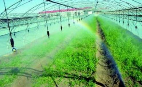 智慧農(nóng)業(yè)精準突破亟待持續(xù)發(fā)力