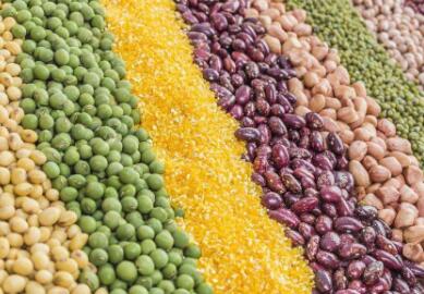 面向極早期科創(chuàng)項(xiàng)目　河南省首只種子基金“破土”