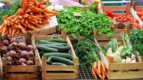 我國種業(yè)創(chuàng)新體系持續(xù)健全 瞧瞧菜籃子里的新變化