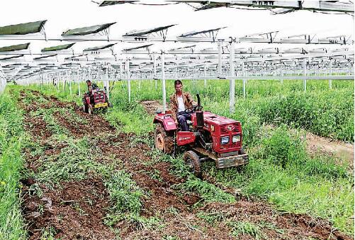 發(fā)展有奔頭、農(nóng)民嘗甜頭 “攥指成拳”推進(jìn)脫貧地區(qū)幫扶產(chǎn)業(yè)高質(zhì)量發(fā)展